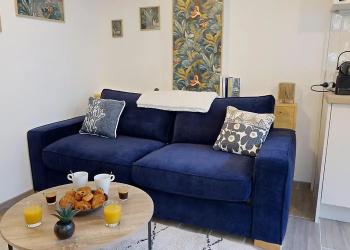 Expat Renting - Le Chic - Netflix - Proche Gare Τουλούζη